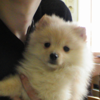 Photo #182247 de Athena