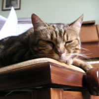 Photo #182275 de Caramelle