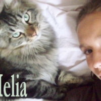 Photo #182339 de Nijïi