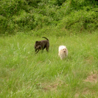 Photo #182363 de Athena