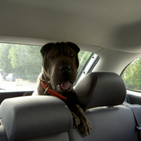 Photo #182419 de Candy