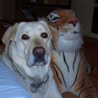 Photo #182530 de Rusty