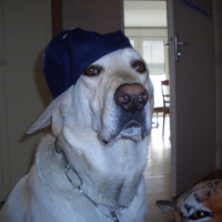 Photo #182536 de Rusty