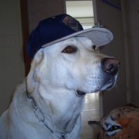 Photo #182543 de Rusty