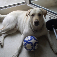 Photo #182555 de Rusty