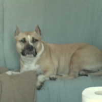 Photo #182630 de Venus