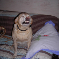 Photo #182743 de Jessie