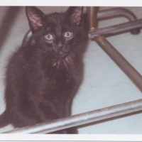 Photo #182745 de Romy