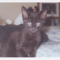 Photo #182748 de Romy