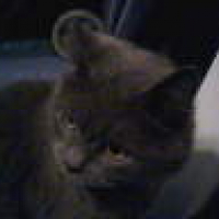 Photo #182827 de Félix