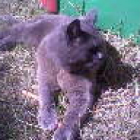 Photo #182829 de Félix