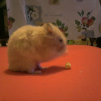 Photo #182913 de Tylain