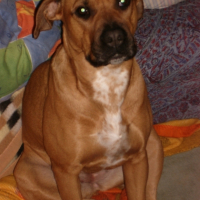 Photo #182925 de Furie