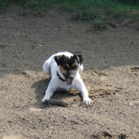 DSC00081