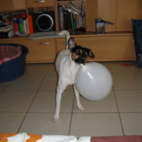 DSC00005