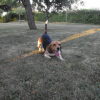 Photo_1024
