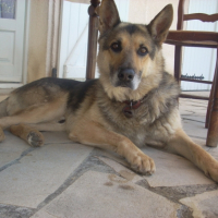 Photo #183116 de Pacha
