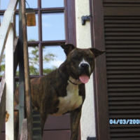Photo #183119 de Diego