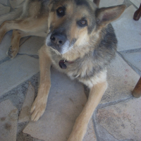 Photo #183122 de Pacha
