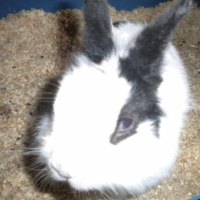 Photo #183234 de Titeuf
