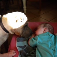 Photo #183247 de Daivy