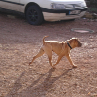 Photo #183250 de Daivy