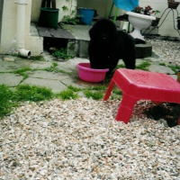Photo #183259 de Maya