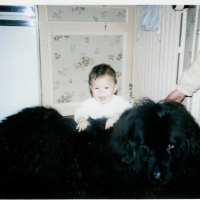 Photo #183260 de Maya