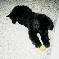 Photo #183261 de Maya