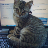 Photo #183287 de Chipie