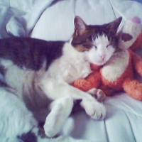 Photo #183327 de Lola