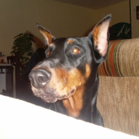 Photo #183387 de Sally