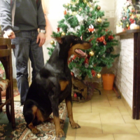 Photo #183392 de Sally