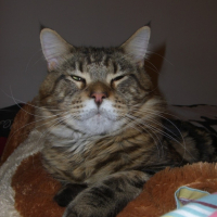 Photo #183439 de Clyde