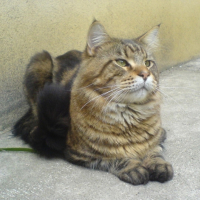 Photo #183440 de Clyde