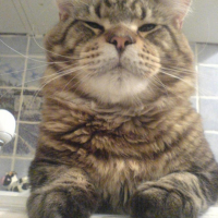 Photo #183442 de Clyde