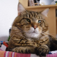 Photo #183465 de Clyde