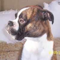 Photo #183538 de Uroy