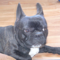 Photo #183599 de Popey