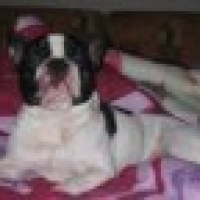 Photo #183621 de U'ston