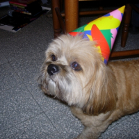 Photo #183628 de Titeuf