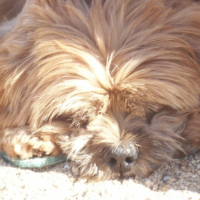 Photo #183629 de Titeuf