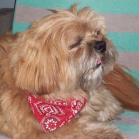 Photo #183630 de Titeuf