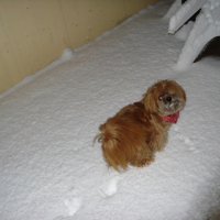 Photo #183633 de Titeuf