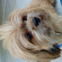 Photo #183638 de Titeuf