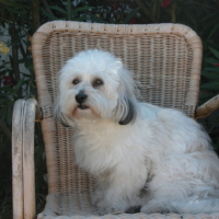 Photo #183646 de Oscar