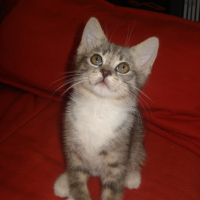 Photo #183680 de Djerba