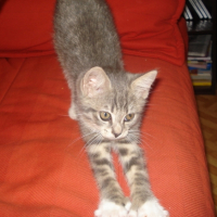 Photo #183695 de Djerba