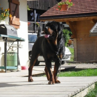Photo #183711 de Crash von melkev kamp