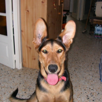 Photo #183738 de Titoon